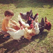 10407472_821494183788_2726922143200852810_n