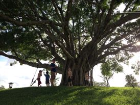 1561106_841007024898_2887365657950436297_n