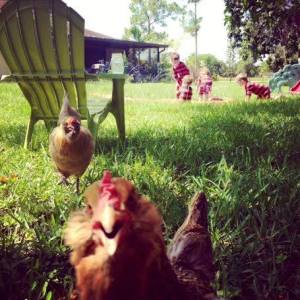 10392376_763107875418_7847682910867807879_n