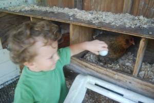 10015652_745518165338_557796223_n