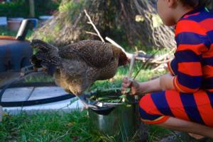 10289930_753816285838_7126998444726975207_n