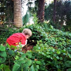 1503255_793698741078_1558814935352485454_n