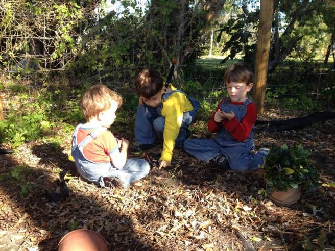 10882281_802158123408_8836923830246615531_n