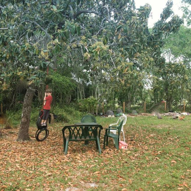 10915279_820075911018_1848104050298760662_n