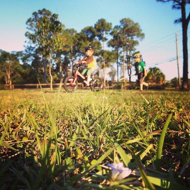 11021048_818500348458_6828425366774892214_n