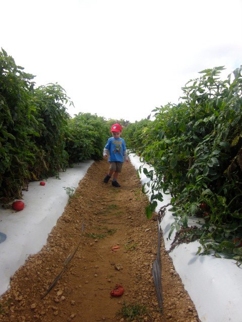 199525_553074099788_2645588_n