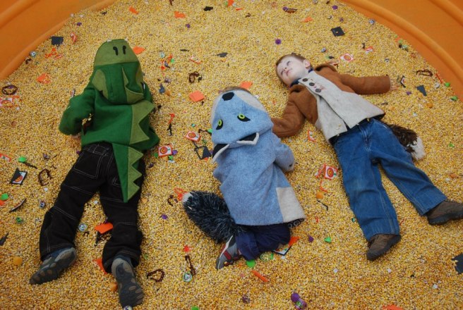 229886_653165266288_170019097_n