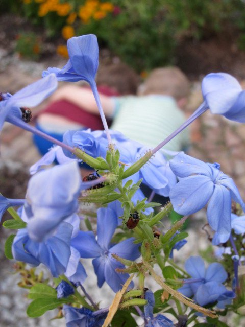 248040_571212265758_6209278_n