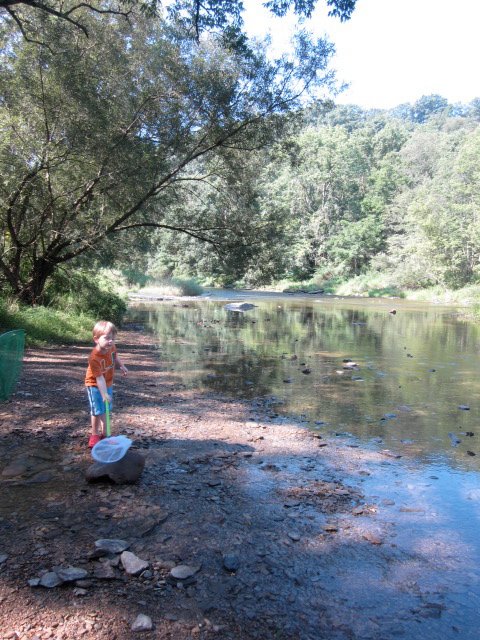 306818_642066767768_862901705_n