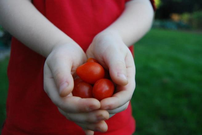 384185_647612449178_592634979_n