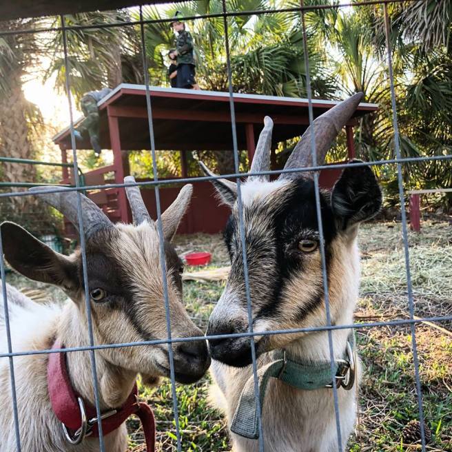 28166573_10100171646557598_6107060314307258569_n